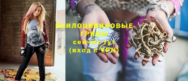 не бодяженный Алексин
